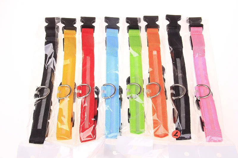 Set of colorful dog collars with plastic buckles on a white background