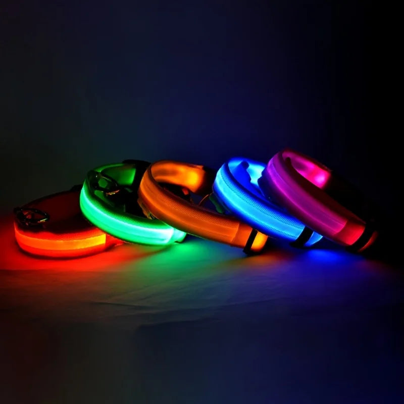 Four colorful LED dog collars on a dark background