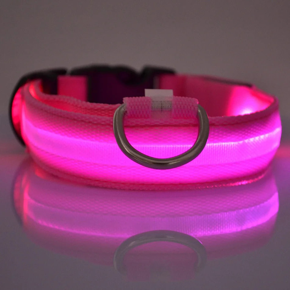 Pink LED dog collar on a reflective surface with a dark background