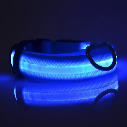 Blue LED dog collar glowing in the dark on a reflective surface.