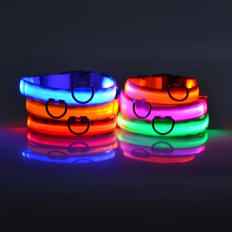 Set of colorful LED dog collars on a dark background